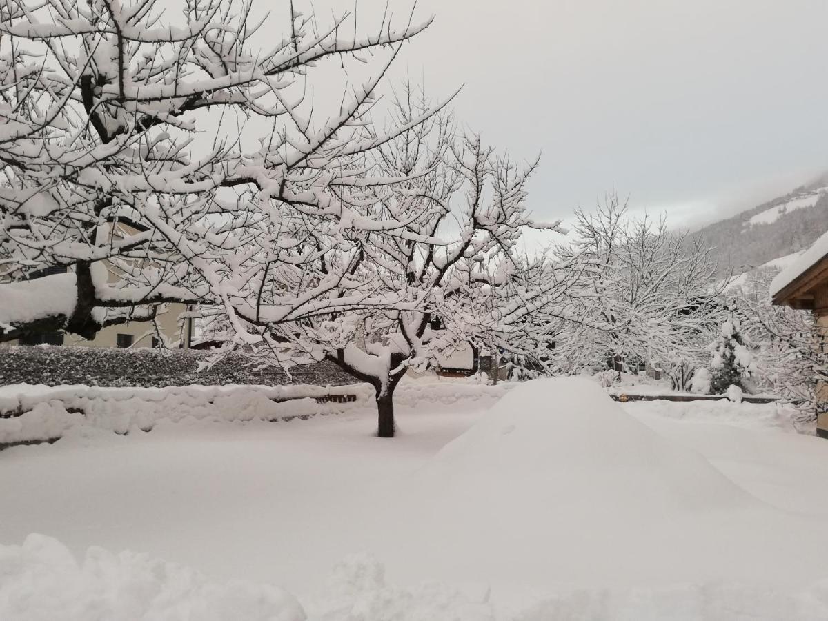 Ferienwohnungen Egger Mayrhofen Esterno foto