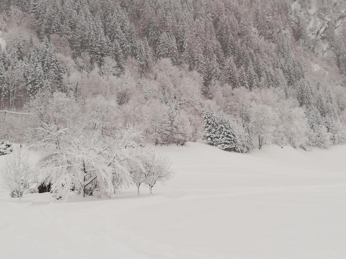 Ferienwohnungen Egger Mayrhofen Esterno foto